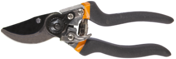 Pruning Shears