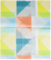 Shower Curtain