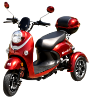 Electric Trycicle TRC800 / C: Gri