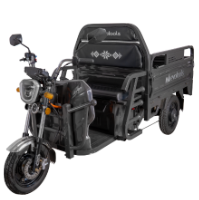 Електрическа Товарна Триколка Balaur TRCC1000