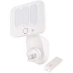Security Alarm Light
